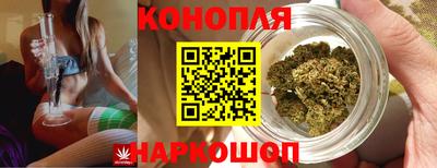 эйфоретик Ачхой-Мартан