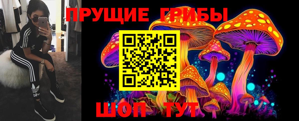 Псилоцибиновые грибы прущие грибы Владикавказ