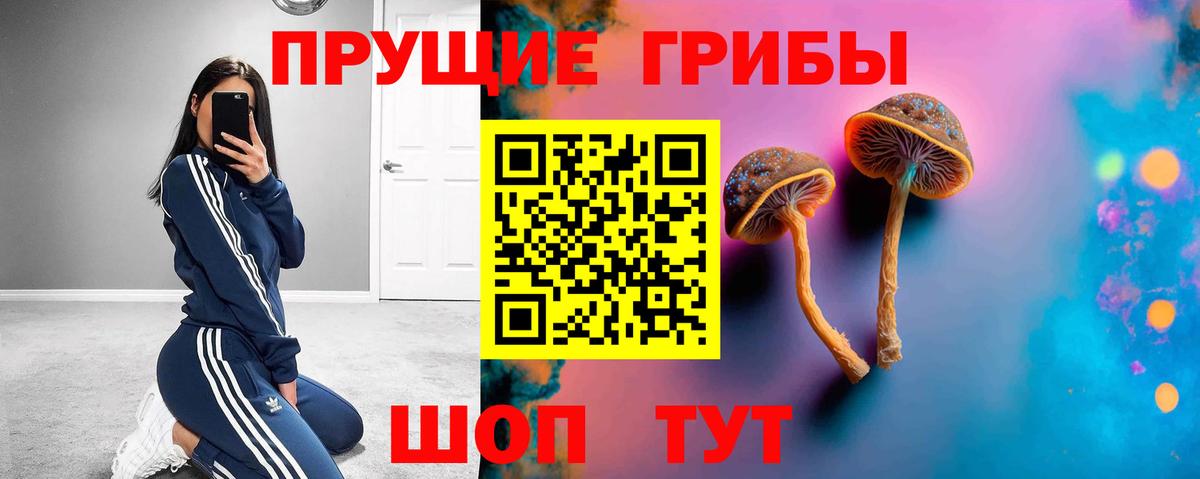 Псилоцибиновые грибы Psilocybine cubensis  магазин  наркотиков  Владикавказ  Псилоцибиновые грибы MAGIC MUSHROOMS  Вход с VPN 